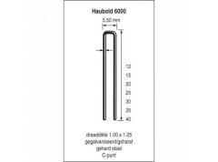 Haubold 503202 KL6035 CRVS niet 6000 Serie 35 mm lengte 5000 stuks