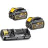 Dewalt DCB132T2 FlexVolt Starter Kit - 2 x FlexVolt accu 54V 6,0Ah Li-Ion + DCB132 Dubbellader - 2