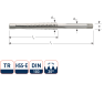 Rotec 356.1400 HSS-G Trapeziumtap TR14 x 3 - 1